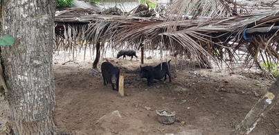 thumb_20190123_131337.jpg