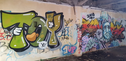 thumb_20190124_120521.jpg