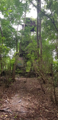 thumb_20190124_122959.jpg