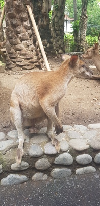 thumb_20190125_102427.jpg