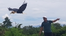 thumb_20190125_122459.jpg