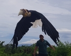 thumb_20190125_122645.jpg