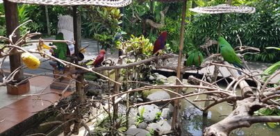 thumb_20190125_125237.jpg