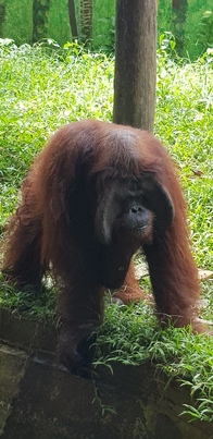 thumb_20190125_131102.jpg
