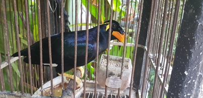 thumb_20190202_131237.jpg