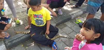 thumb_20190203_092623.jpg