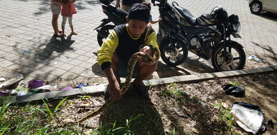 thumb_20190203_092814.jpg