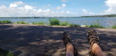 thumb_20190203_112829.jpg