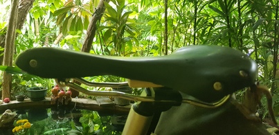 thumb_20190204_134031.jpg