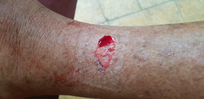 thumb_20190205_105028.jpg