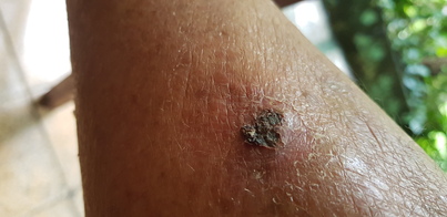 thumb_20190205_105112.jpg