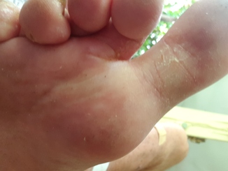 thumb_20190205_105651.jpg
