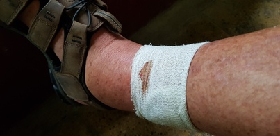 thumb_20190208_121926.jpg