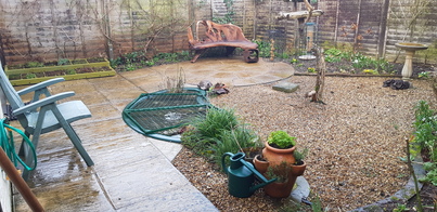 thumb_20190213_161837.jpg