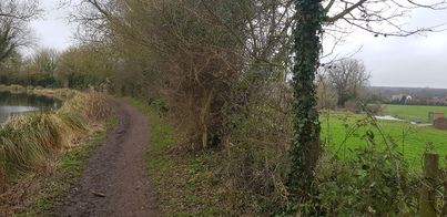 thumb_20190216_150504.jpg