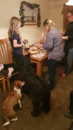 thumb_20191229_164720.jpg