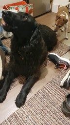 thumb_20191229_182028.jpg
