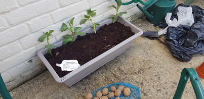 thumb_20190326_141406.jpg