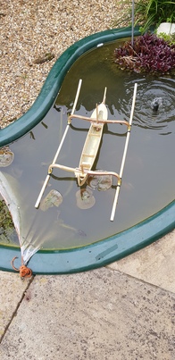 thumb_20190405_165505.jpg