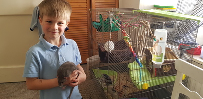 thumb_20190521_154827.jpg