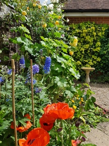 thumb_20190609_150530.jpg
