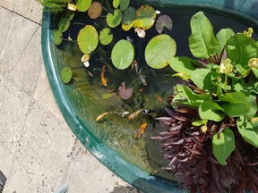 thumb_20190703_102712.jpg