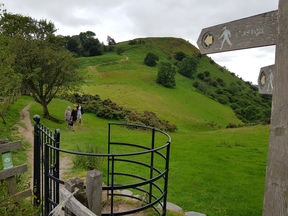 thumb_20190709_123951.jpg
