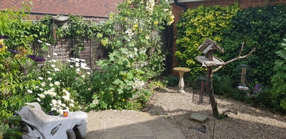 thumb_20190713_154310.jpg