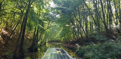 thumb_20190729_102602.jpg