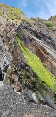 thumb_20190804_142319.jpg