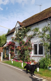 thumb_20190806_090431.jpg