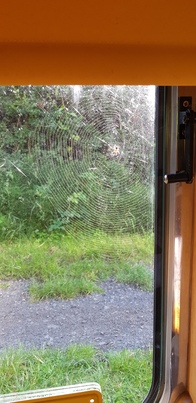 thumb_20190813_092503.jpg