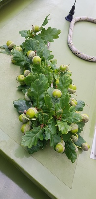 thumb_20190813_104347.jpg