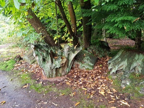 thumb_20190922_161245.jpg