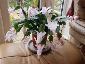 thumb_20191108_131609.jpg