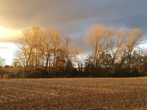 thumb_20191118_155552.jpg