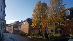 thumb_20191127_093939.jpg