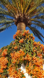 thumb_20200119_174004.jpg