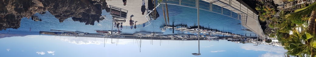 thumb_20200122_131700.jpg