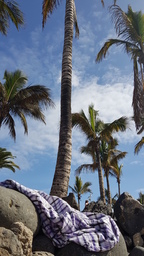 thumb_20200123_130226.jpg