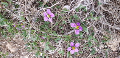 thumb_20200126_130452.jpg