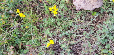 thumb_20200126_130546.jpg