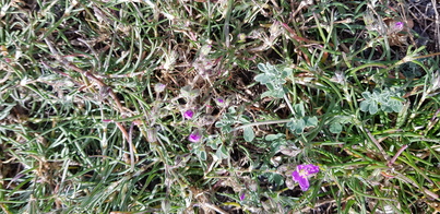 thumb_20200126_130658.jpg