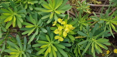 thumb_20200126_131117.jpg