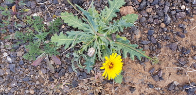 thumb_20200126_131212.jpg