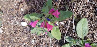 thumb_20200126_131242.jpg
