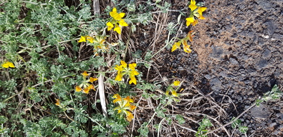 thumb_20200126_131331.jpg