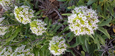 thumb_20200126_131347.jpg