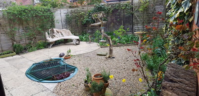 thumb_20200320_123659.jpg