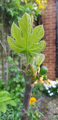 thumb_20200410_173220.jpg